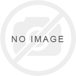 high-efficiency-bulk-data-techniques-for-ef-core